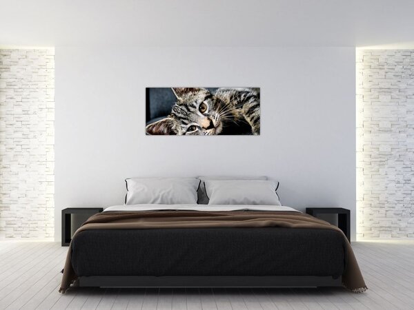 Tablou - Pisoi (120x50 cm)