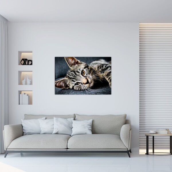 Tablou - Pisoi (90x60 cm)