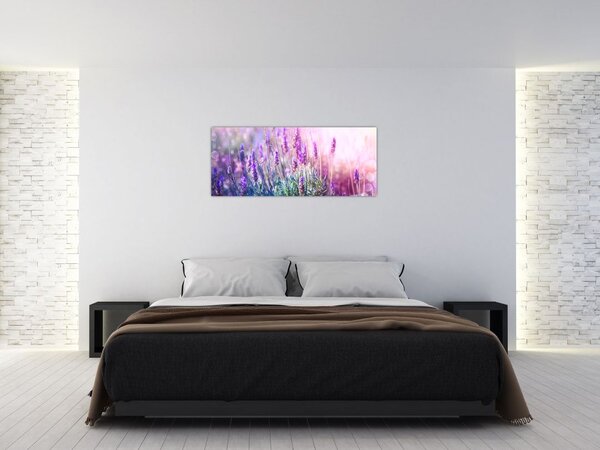 Tablou - Lavandă în strălucirea soarelui (120x50 cm)
