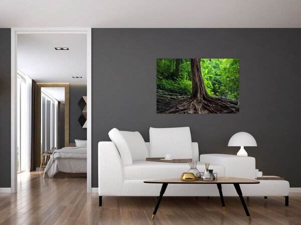 Tablou - Copac bătrîn cu rădăcini (90x60 cm)