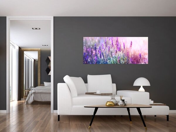 Tablou - Lavandă în strălucirea soarelui (120x50 cm)