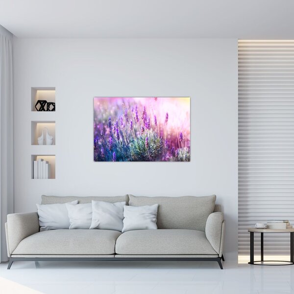 Tablou - Lavandă în strălucirea soarelui (90x60 cm)