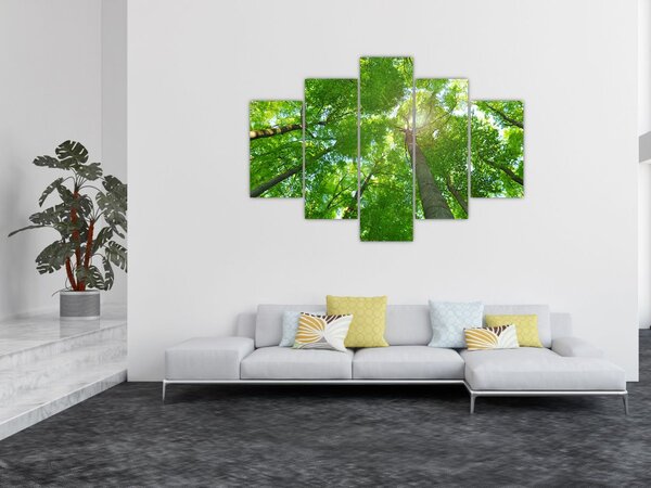 Tablou - Lunca (150x105 cm)