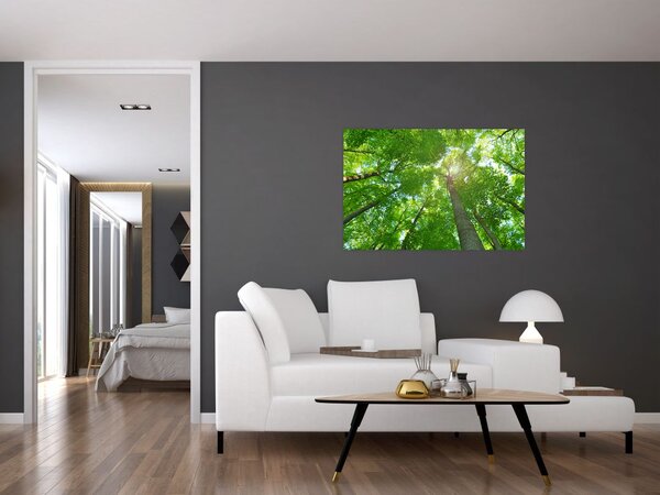 Tablou - Lunca (90x60 cm)