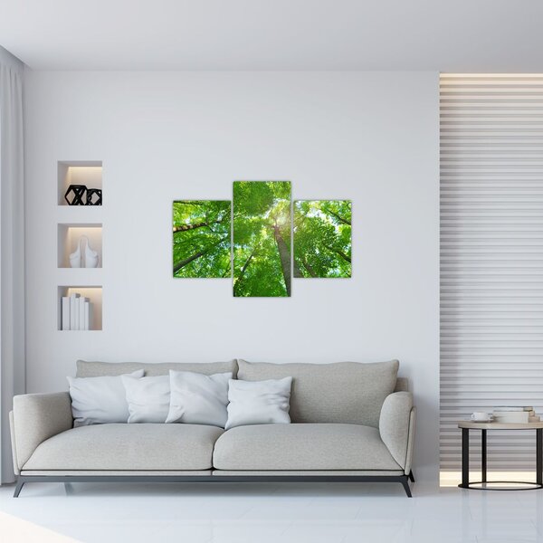 Tablou - Lunca (90x60 cm)