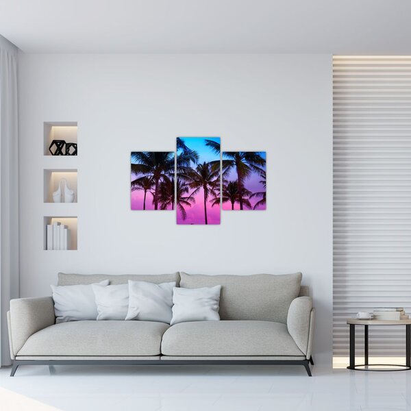 Tablou - Palmieri din Miami (90x60 cm)