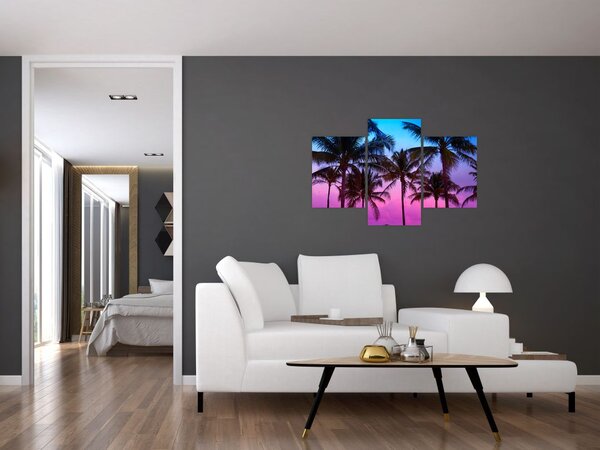 Tablou - Palmieri din Miami (90x60 cm)
