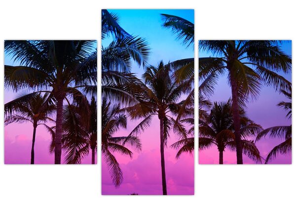 Tablou - Palmieri din Miami (90x60 cm)