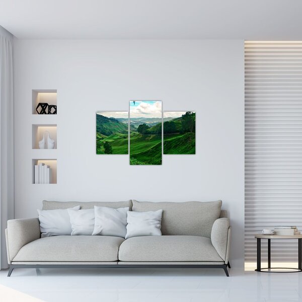Tablou Plantații de ceai - Malaezia (90x60 cm)