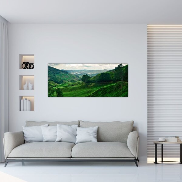 Tablou Plantații de ceai - Malaezia (120x50 cm)
