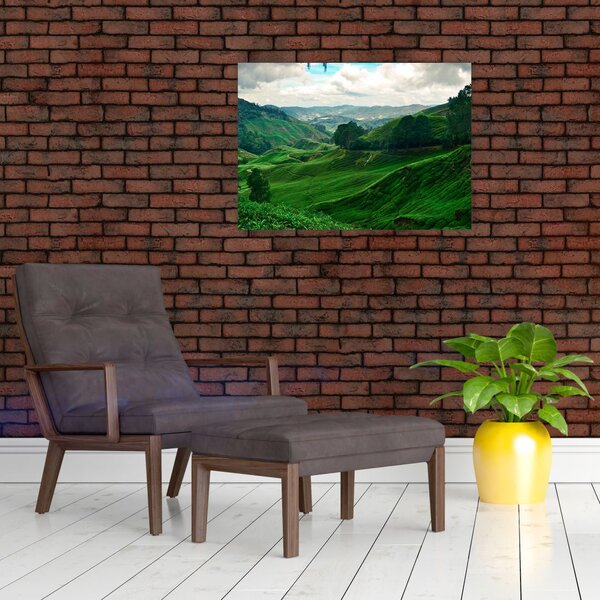 Tablou Plantații de ceai - Malaezia (70x50 cm)