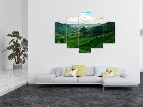Tablou Plantații de ceai - Malaezia (150x105 cm)