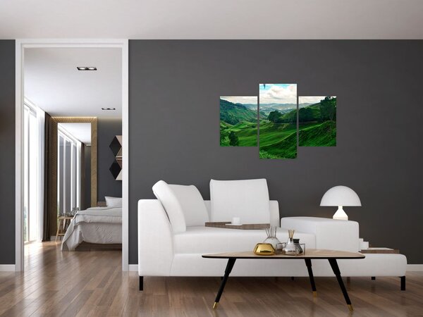 Tablou Plantații de ceai - Malaezia (90x60 cm)