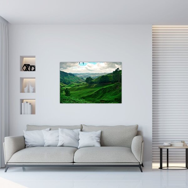 Tablou Plantații de ceai - Malaezia (90x60 cm)
