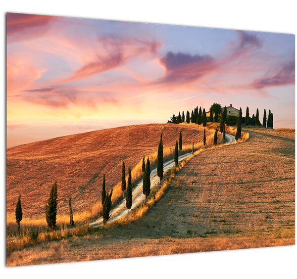 Tablou - Casa pe deal Toscana, Italia (70x50 cm)