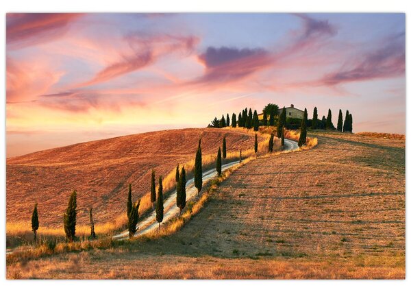 Tablou - Casa pe deal Toscana, Italia (90x60 cm)