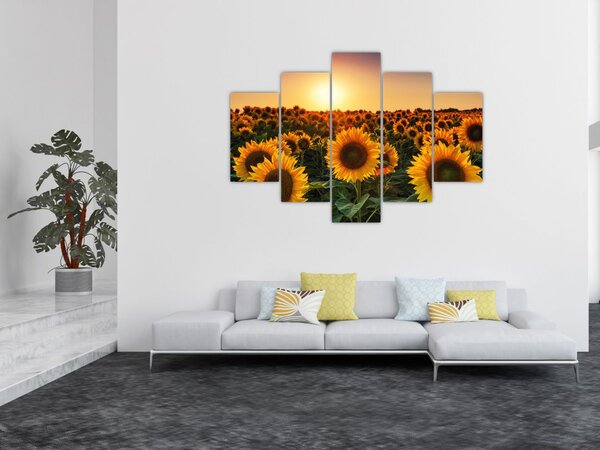 Tablou - Floarea soarelui (150x105 cm)