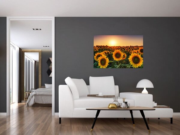 Tablou - Floarea soarelui (90x60 cm)