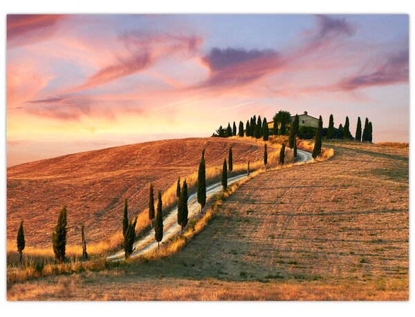 Tablou - Casa pe deal Toscana, Italia (70x50 cm)
