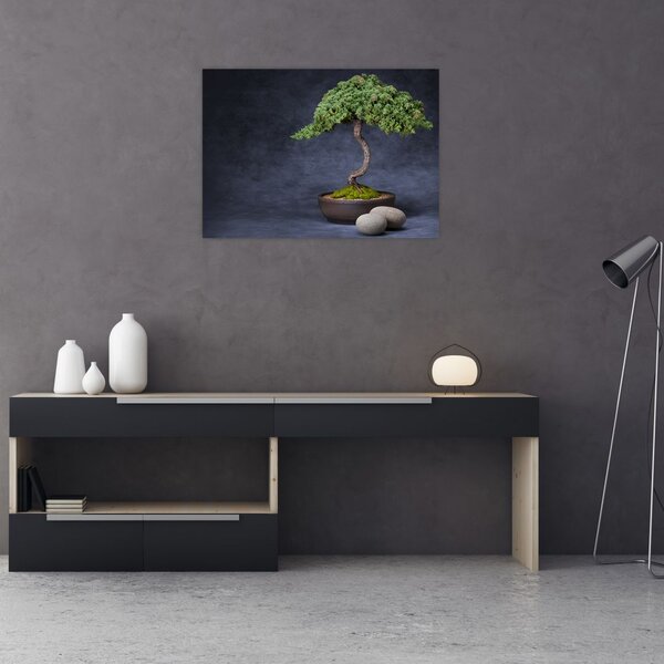 Tablou - Bonsai (70x50 cm)