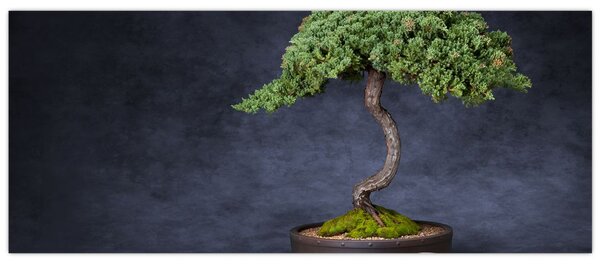 Tablou - Bonsai (120x50 cm)