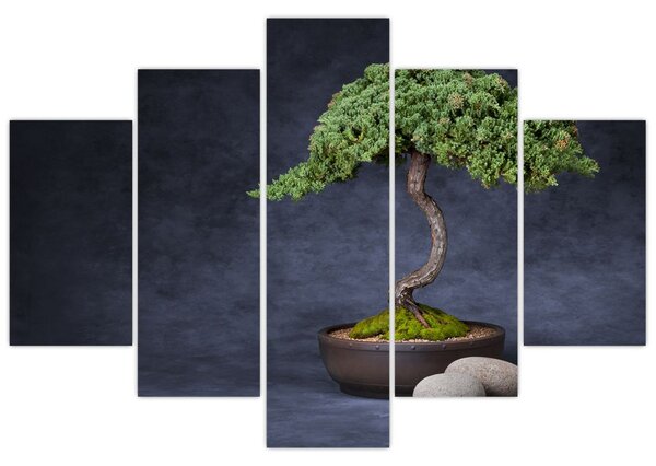 Tablou - Bonsai (150x105 cm)