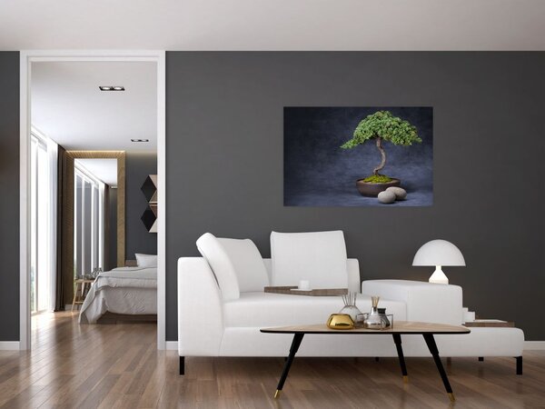 Tablou - Bonsai (90x60 cm)