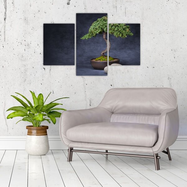 Tablou - Bonsai (90x60 cm)