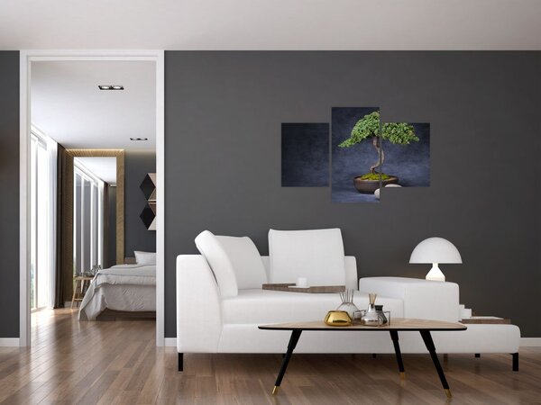 Tablou - Bonsai (90x60 cm)