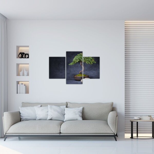 Tablou - Bonsai (90x60 cm)