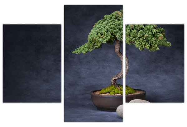 Tablou - Bonsai (90x60 cm)