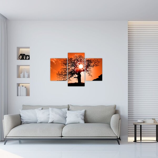 Tablou - Fag la apus de soare (90x60 cm)