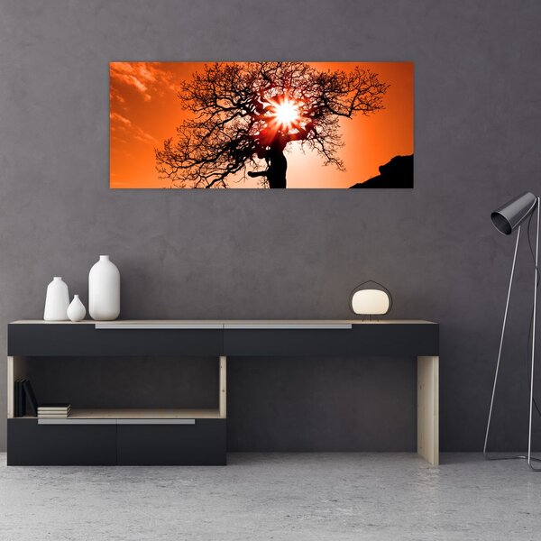 Tablou - Fag la apus de soare (120x50 cm)