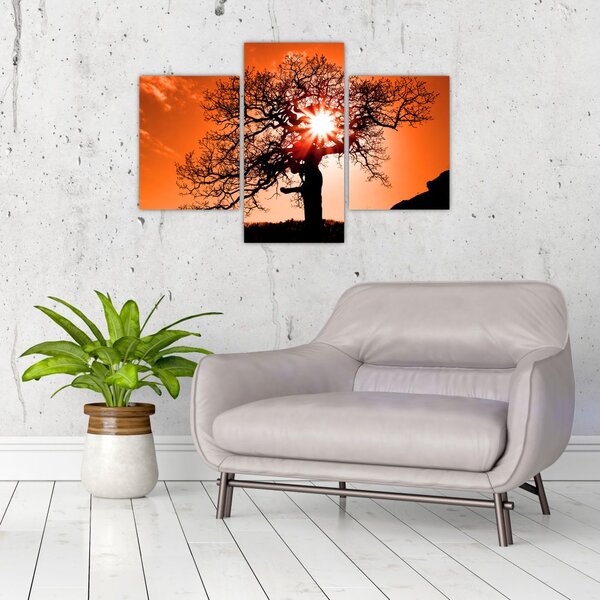 Tablou - Fag la apus de soare (90x60 cm)
