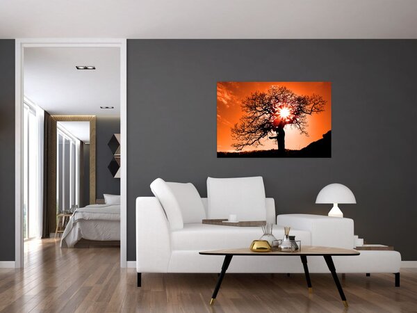 Tablou - Fag la apus de soare (90x60 cm)