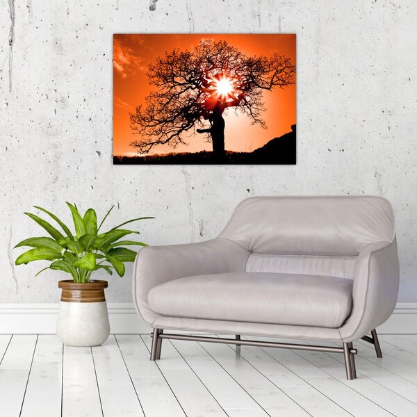 Tablou - Fag la apus de soare (70x50 cm)