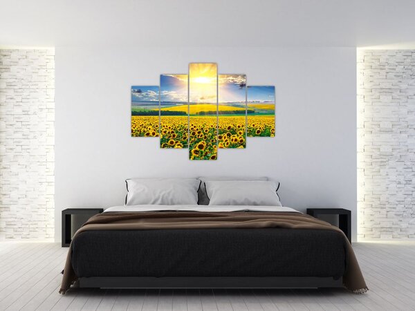 Tablou - Câmp cu floarea soarelui (150x105 cm)