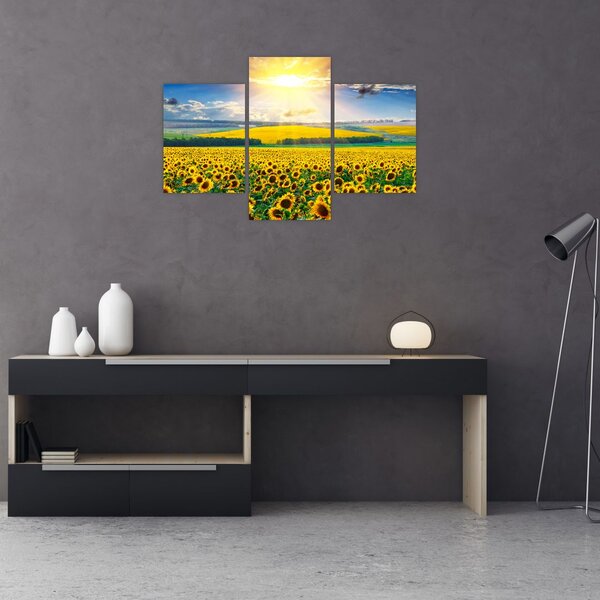 Tablou - Câmp cu floarea soarelui (90x60 cm)