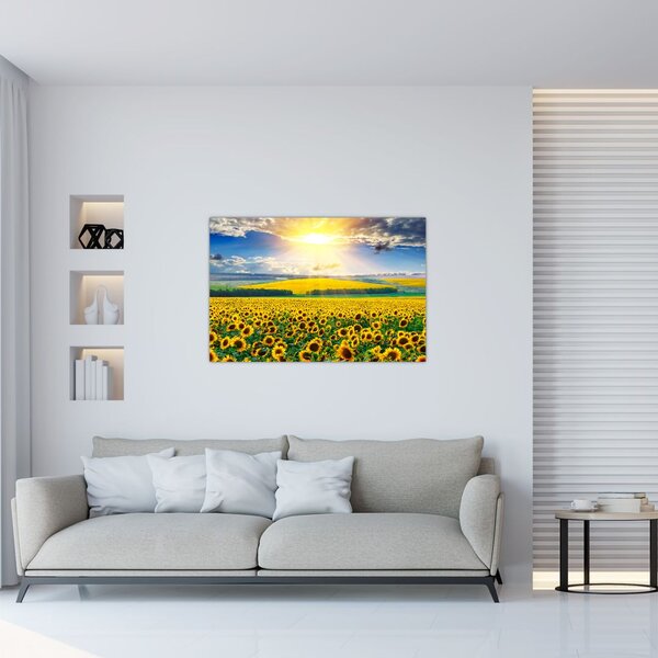 Tablou - Câmp cu floarea soarelui (90x60 cm)