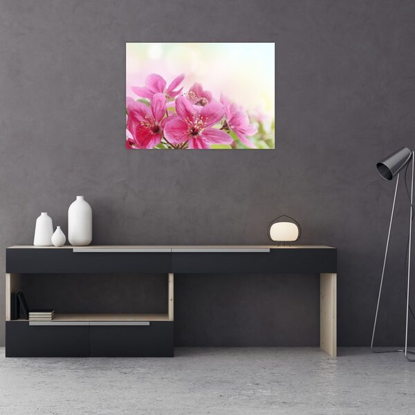 Tablou - Flori roz (70x50 cm)