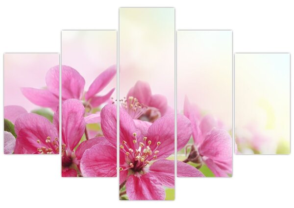 Tablou - Flori roz (150x105 cm)