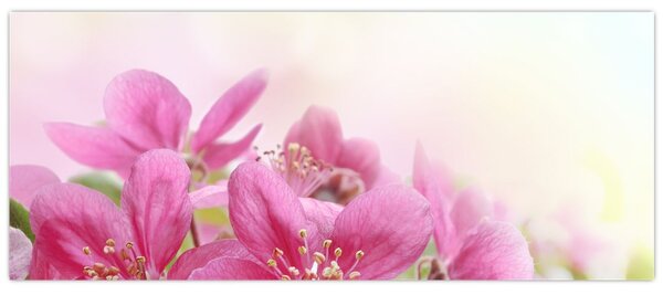 Tablou - Flori roz (120x50 cm)