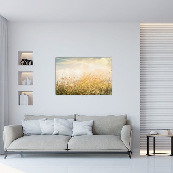 Tablou - Câmp toamna (90x60 cm)
