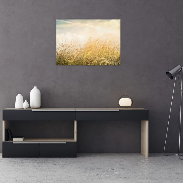 Tablou - Câmp toamna (70x50 cm)