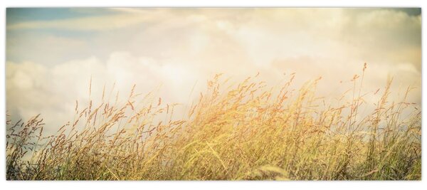 Tablou - Câmp toamna (120x50 cm)