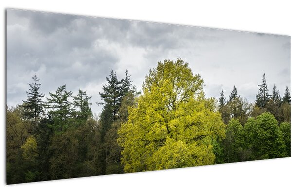Tablou - Copac verde în câmp (120x50 cm)