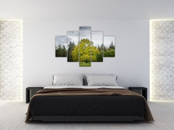 Tablou - Copac verde în câmp (150x105 cm)