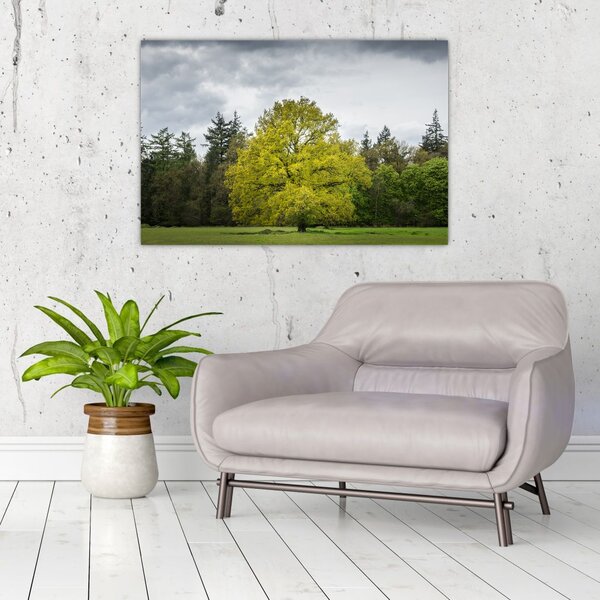 Tablou - Copac verde în câmp (90x60 cm)