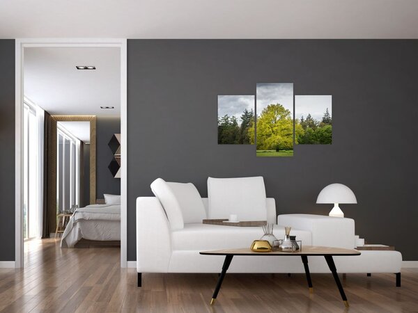 Tablou - Copac verde în câmp (90x60 cm)