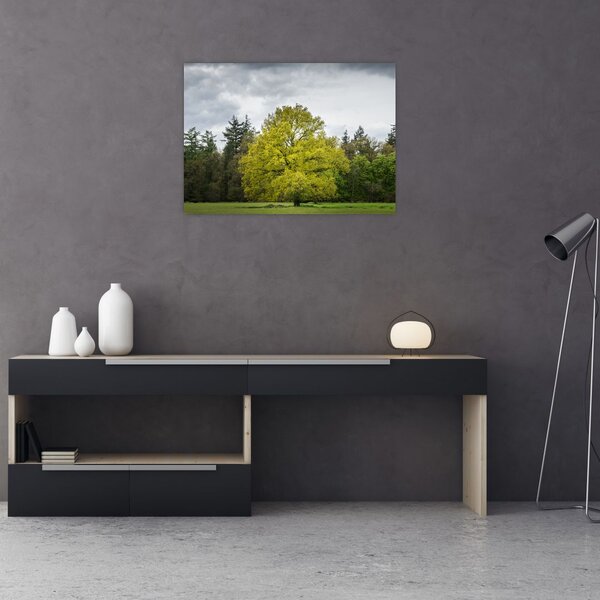 Tablou - Copac verde în câmp (70x50 cm)